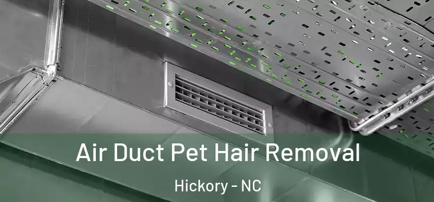  Air Duct Pet Hair Removal Hickory - NC