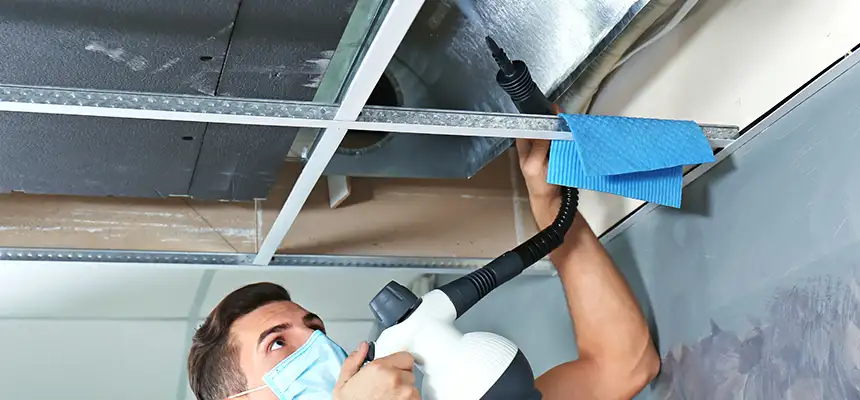 Our Air Duct Rodent Removal Services in Hickory, NC