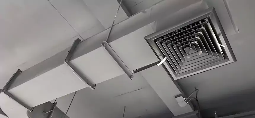 Restorative Allergy Relief Vent Cleaning – Coil, Blower & Housing Detail in Hickory