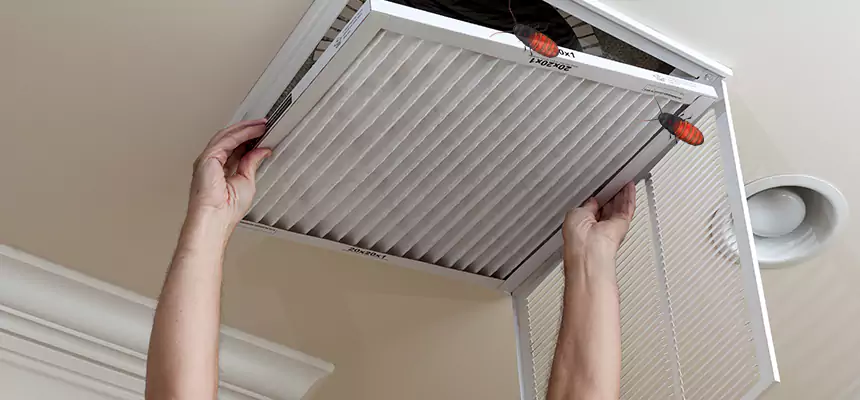 Our Insect Removal from Air Ducts Services in Hickory, NC
