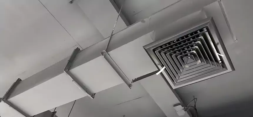 Our Rodent Droppings In Vents Services in Hickory, NC