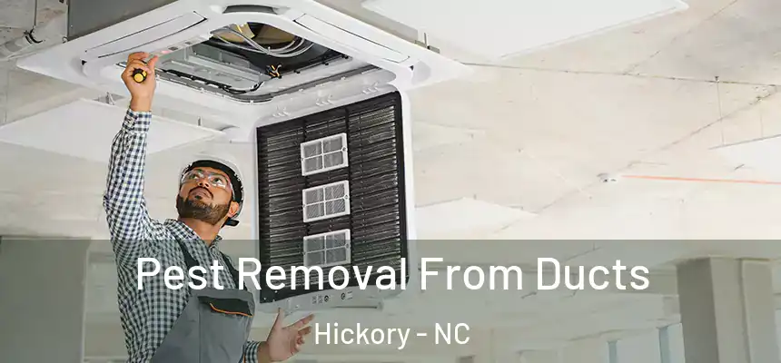  Pest Removal From Ducts Hickory - NC