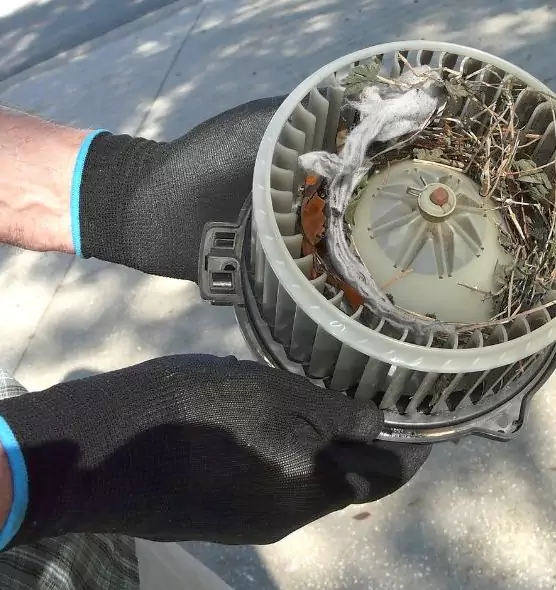 About Air Duct Mice Removal in Hickory, NC