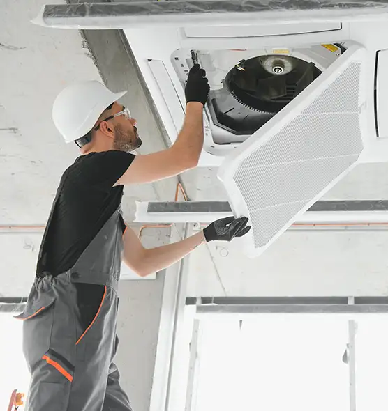 About Air Duct Rodent Removal in Hickory, NC