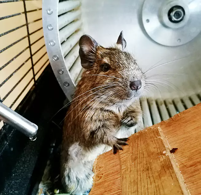 Why Homeowners & Businesses Trust Us Hickory, NC?