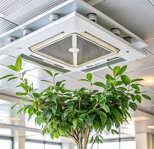 Why Homeowners & Businesses Trust Us in Hickory, NC?