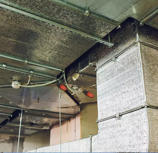 Why Homeowners & Businesses Trust Us Hickory, NC?